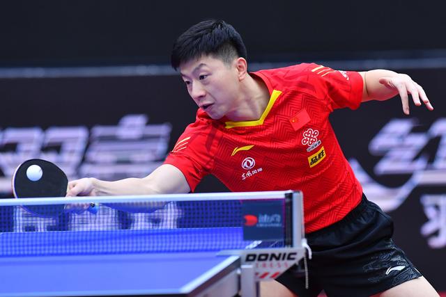 我们可以参 我们可以参